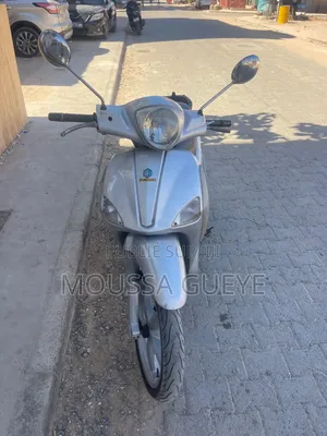 Piaggio Trotinette 2016 Gris