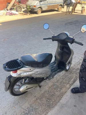 Piaggio Trotinette 2016 Gris