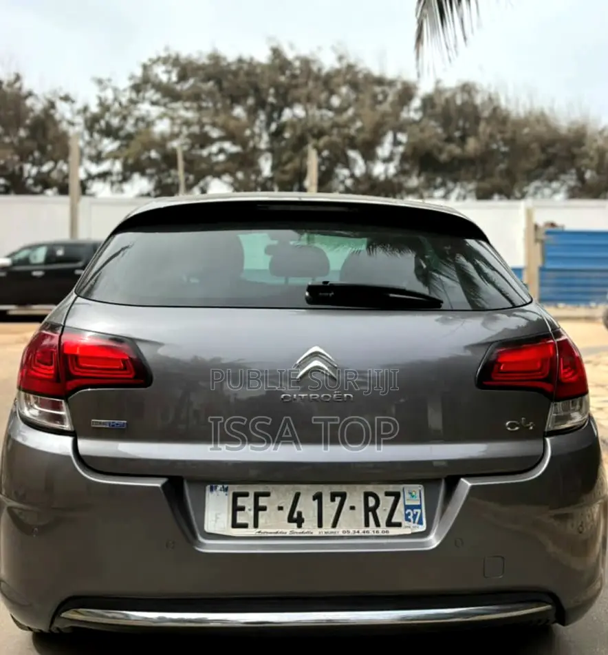 Citroen C4 2017 Gris