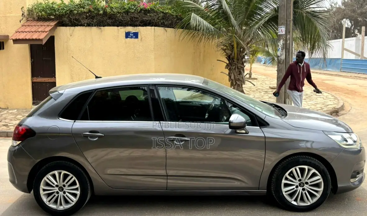 Citroen C4 2017 Gris