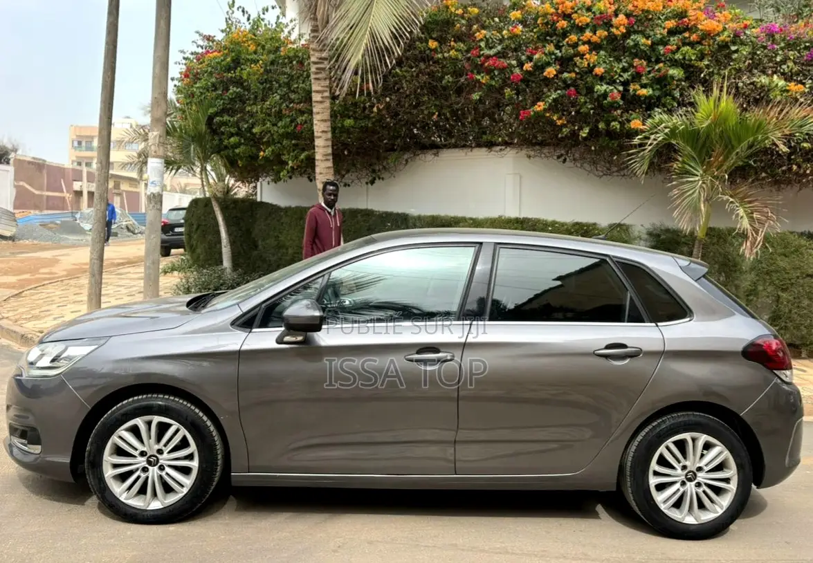 Citroen C4 2017 Gris