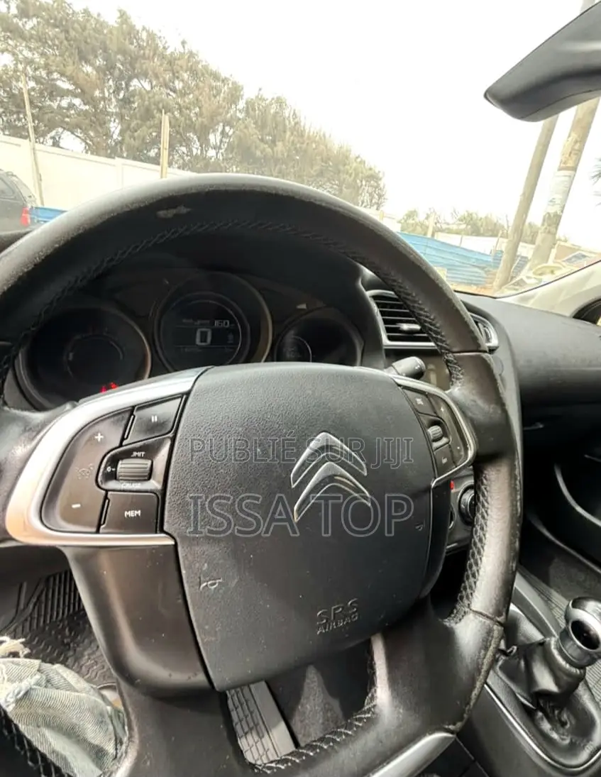 Citroen C4 2017 Gris