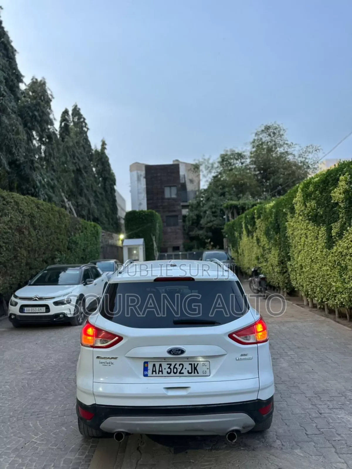 Ford Escape SE 4dr SUV (1.6L 4cyl Turbo 6A) 2014 Blanc