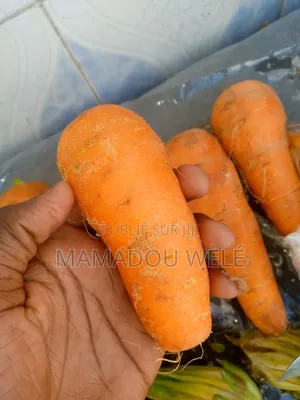 Pour La Santé Manger De Légumes Et Fruits