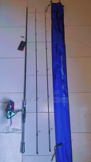 Ensemble Canne + Moulinette