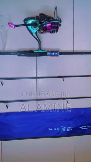 Ensemble Canne + Moulinette