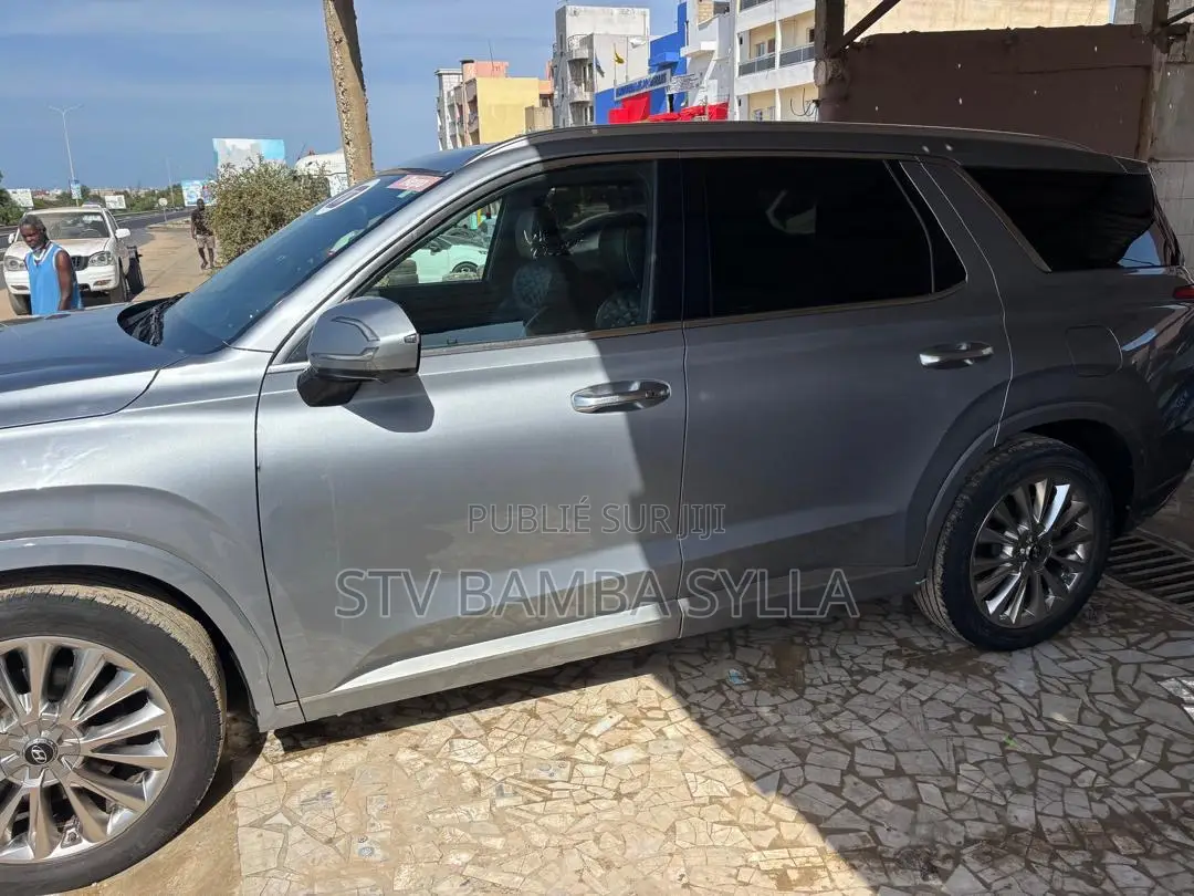 Hyundai Palissade Limited 2021 Gris