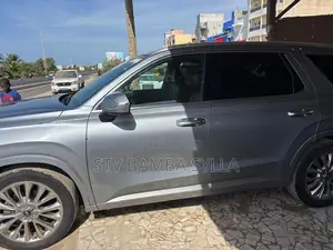 Hyundai Palissade Limited 2021 Gris