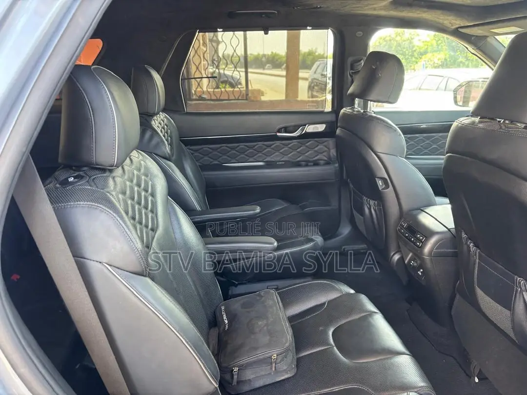 Hyundai Palissade Limited 2021 Gris