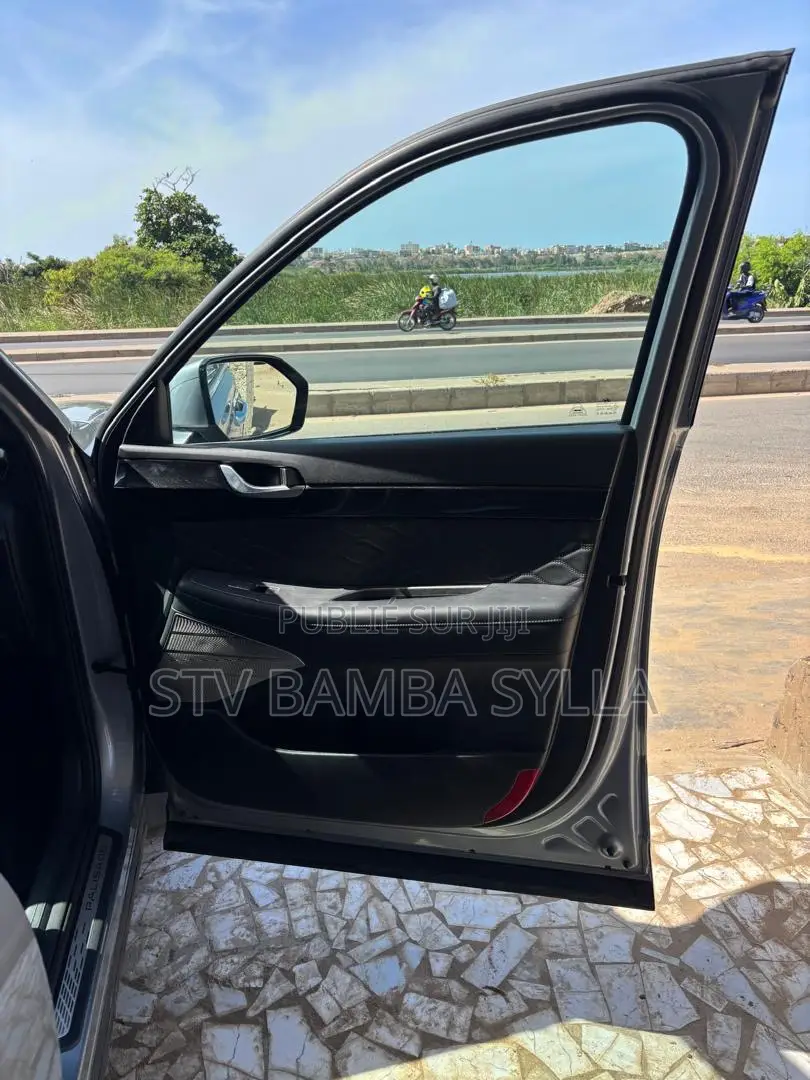 Hyundai Palissade Limited 2021 Gris