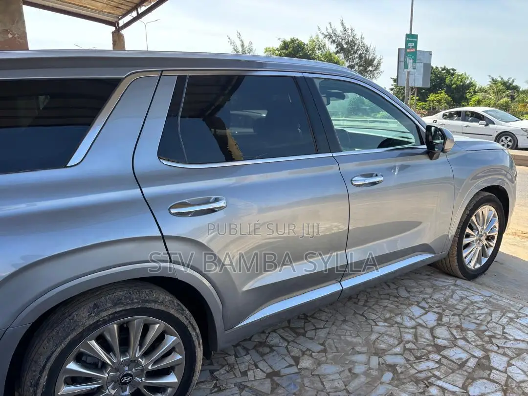 Hyundai Palissade Limited 2021 Gris