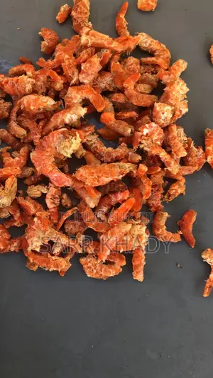 Vente De Produits Halieutiques