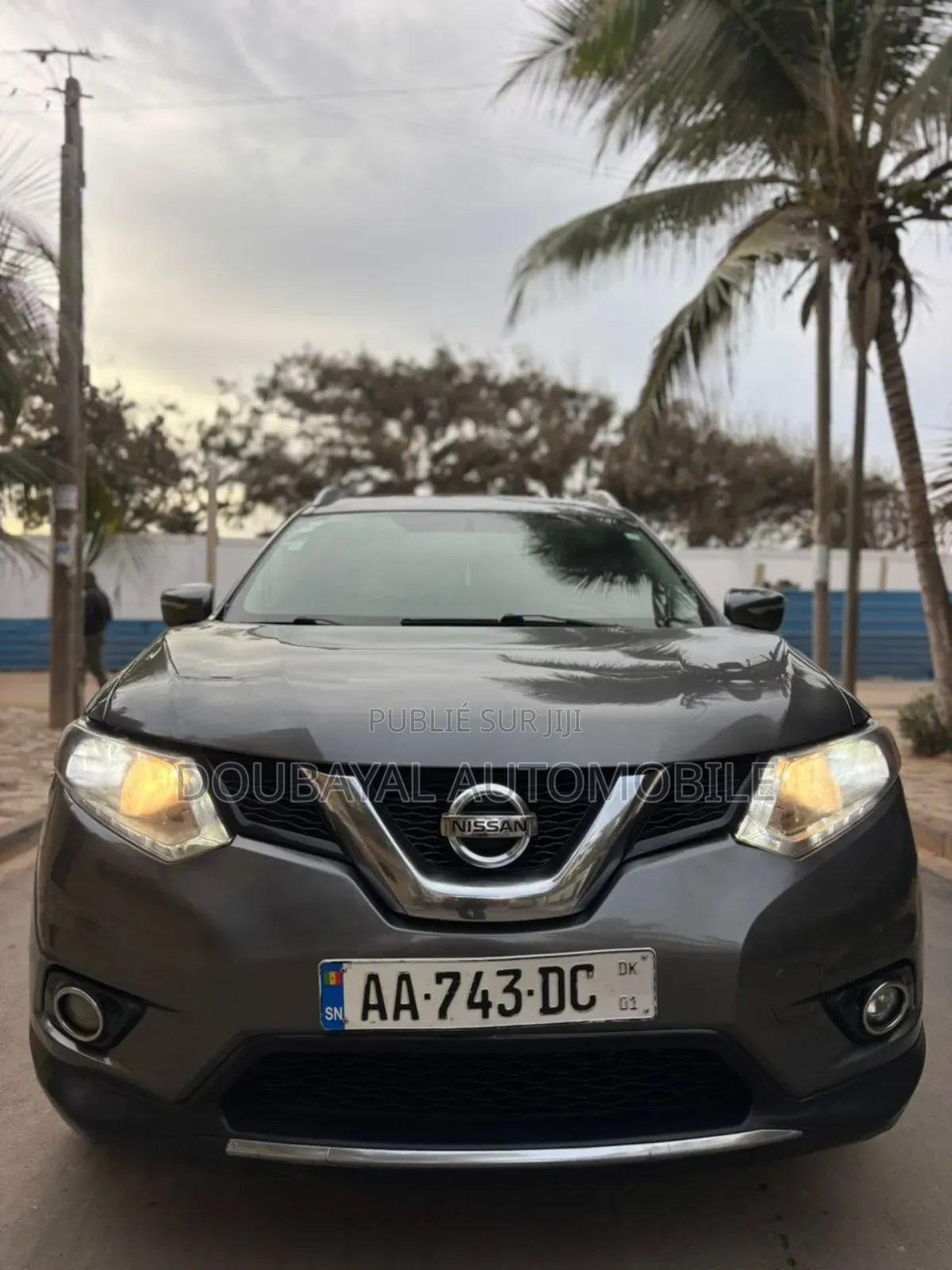 Nissan Rogue 2014 Gris