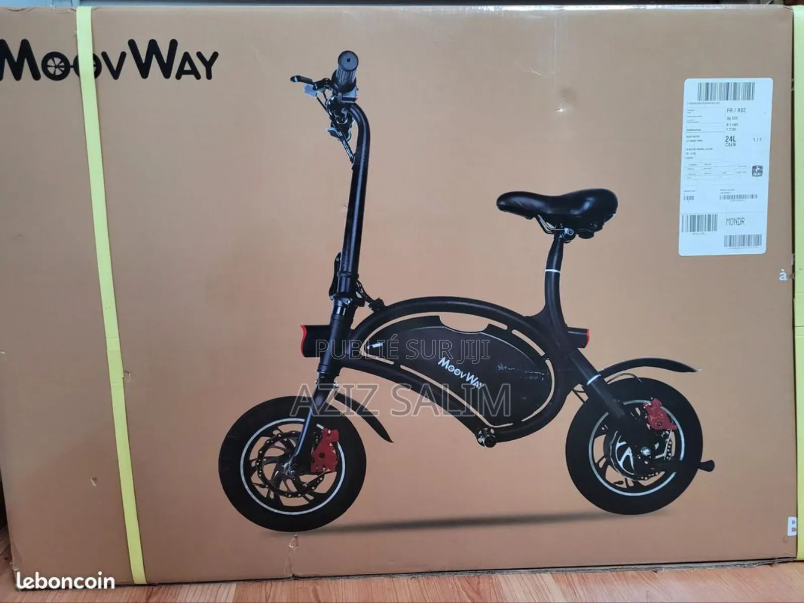 Bicyclette Électrique Draisienne