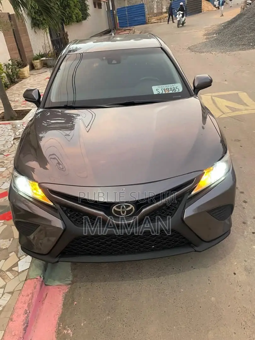 Toyota Camry LE FWD 2020 Gris