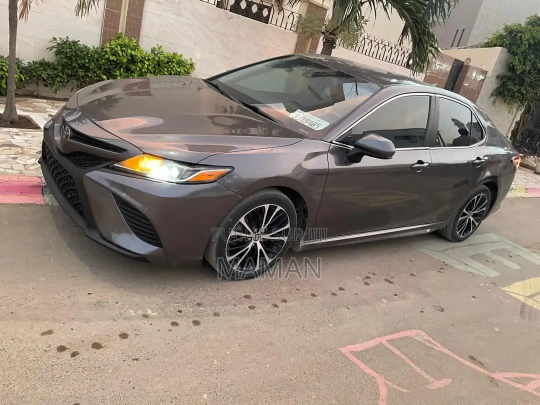 Toyota Camry LE FWD 2020 Gris