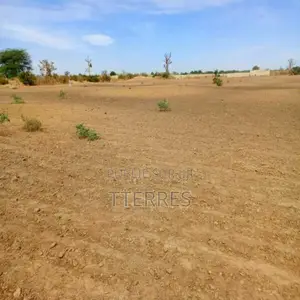 Terrain Agricole De 3,99 Hectares Vers Nguékhokh – Mbour