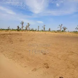 Terrain Agricole De 3,99 Hectares Vers Nguékhokh – Mbour