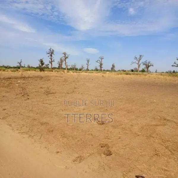 Terrain Agricole De 3,99 Hectares Vers Nguékhokh – Mbour