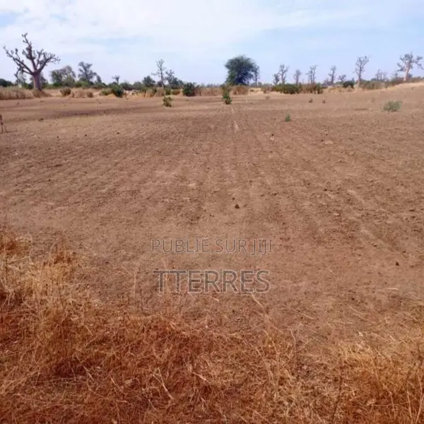Terrain Agricole De 3,99 Hectares Vers Nguékhokh – Mbour