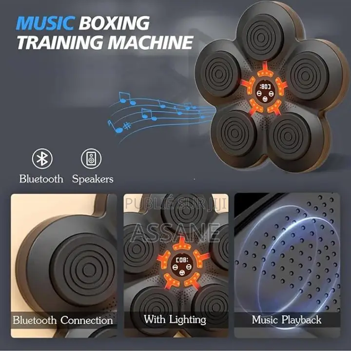 Cible De Boxe Musicale
