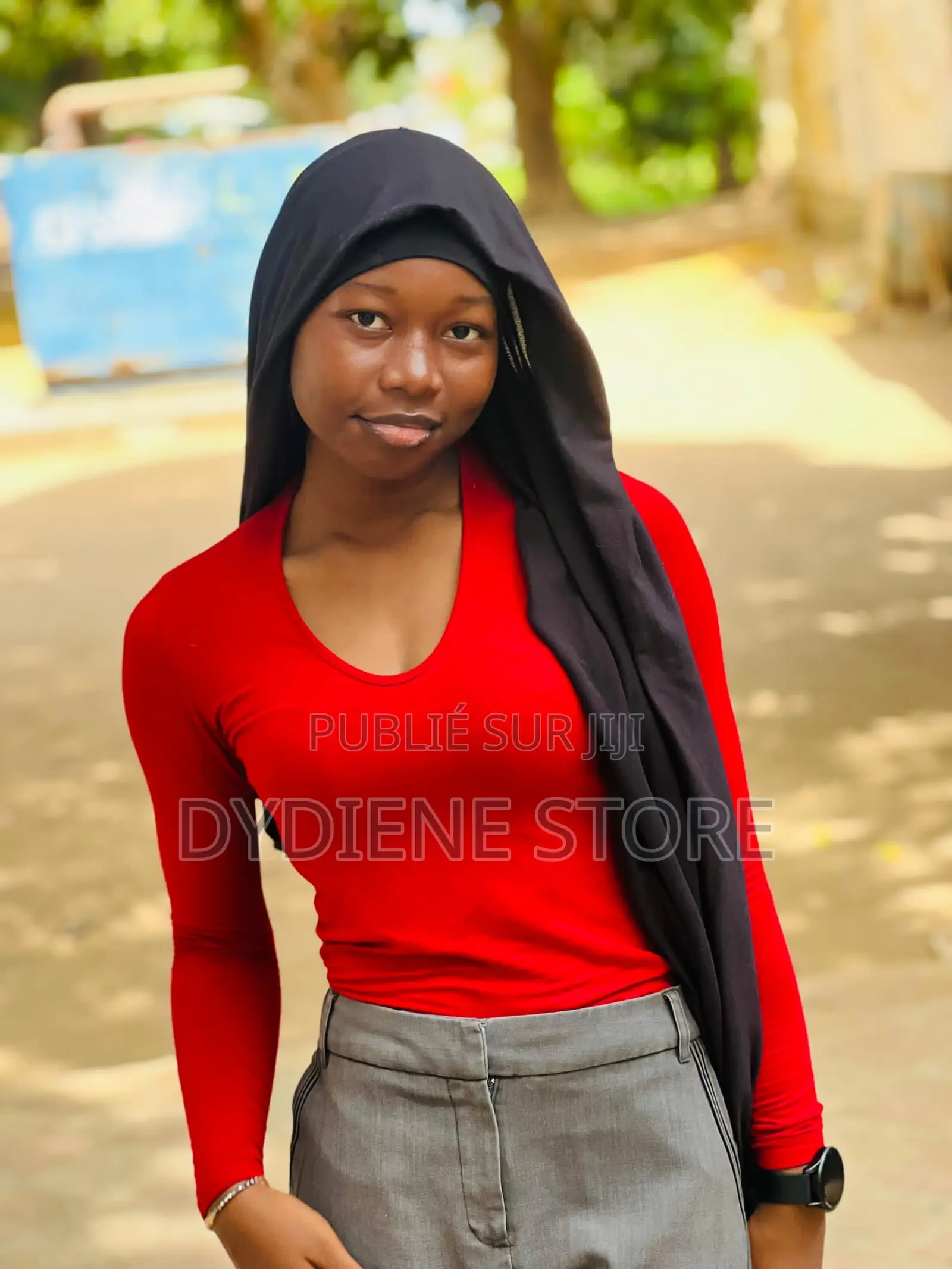 Bilingual Babysitter (French-English)