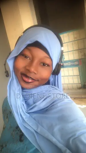 Bilingual Babysitter (French-English)