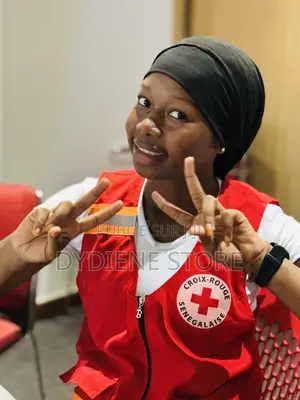 Bilingual Babysitter (French-English)