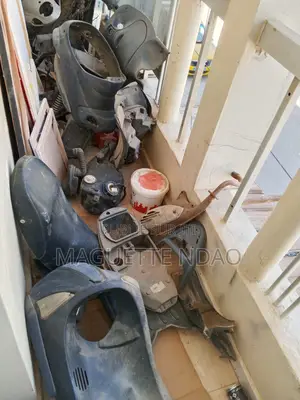 Pieces Moto a Injection d'Un Liberty