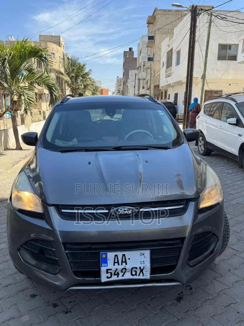 Ford Escape 2014 Gris