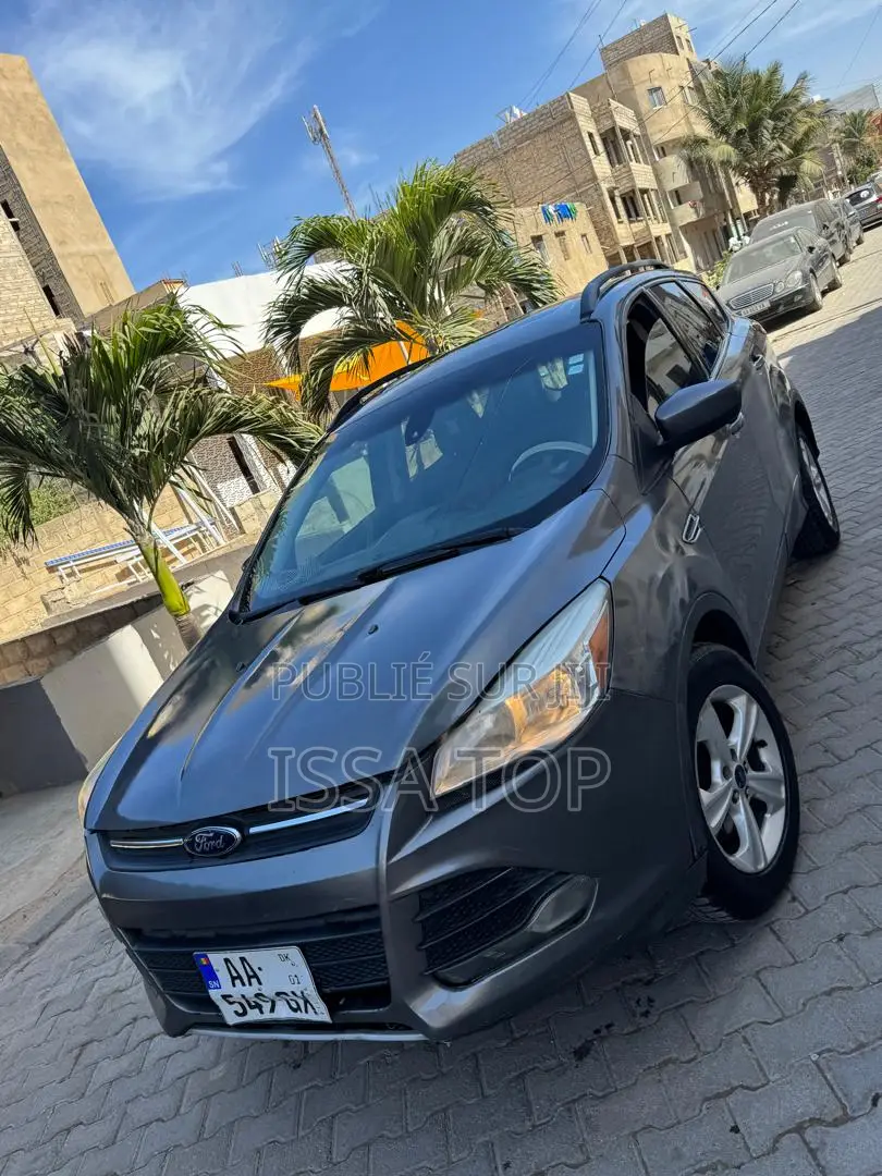 Ford Escape 2014 Gris