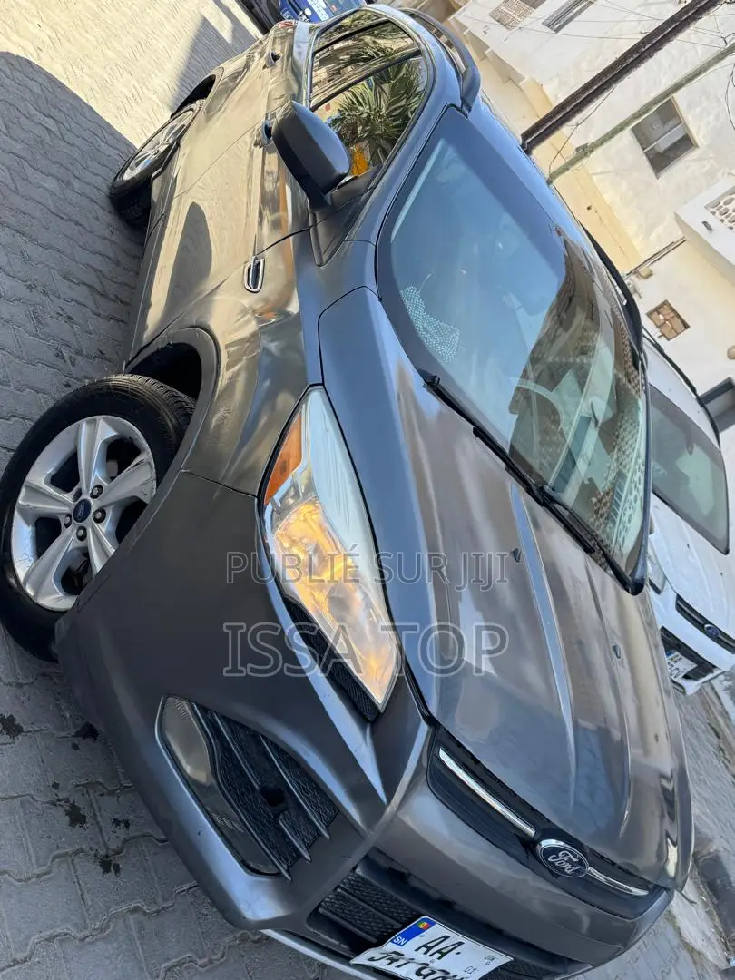 Ford Escape 2014 Gris