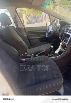 Peugeot 307 2008 Blanc