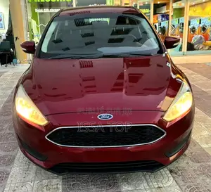 Ford Focus 2017 Rouge