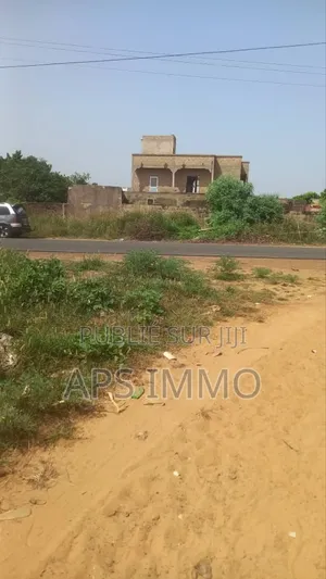 Champs 24 Hectares À Dioggo