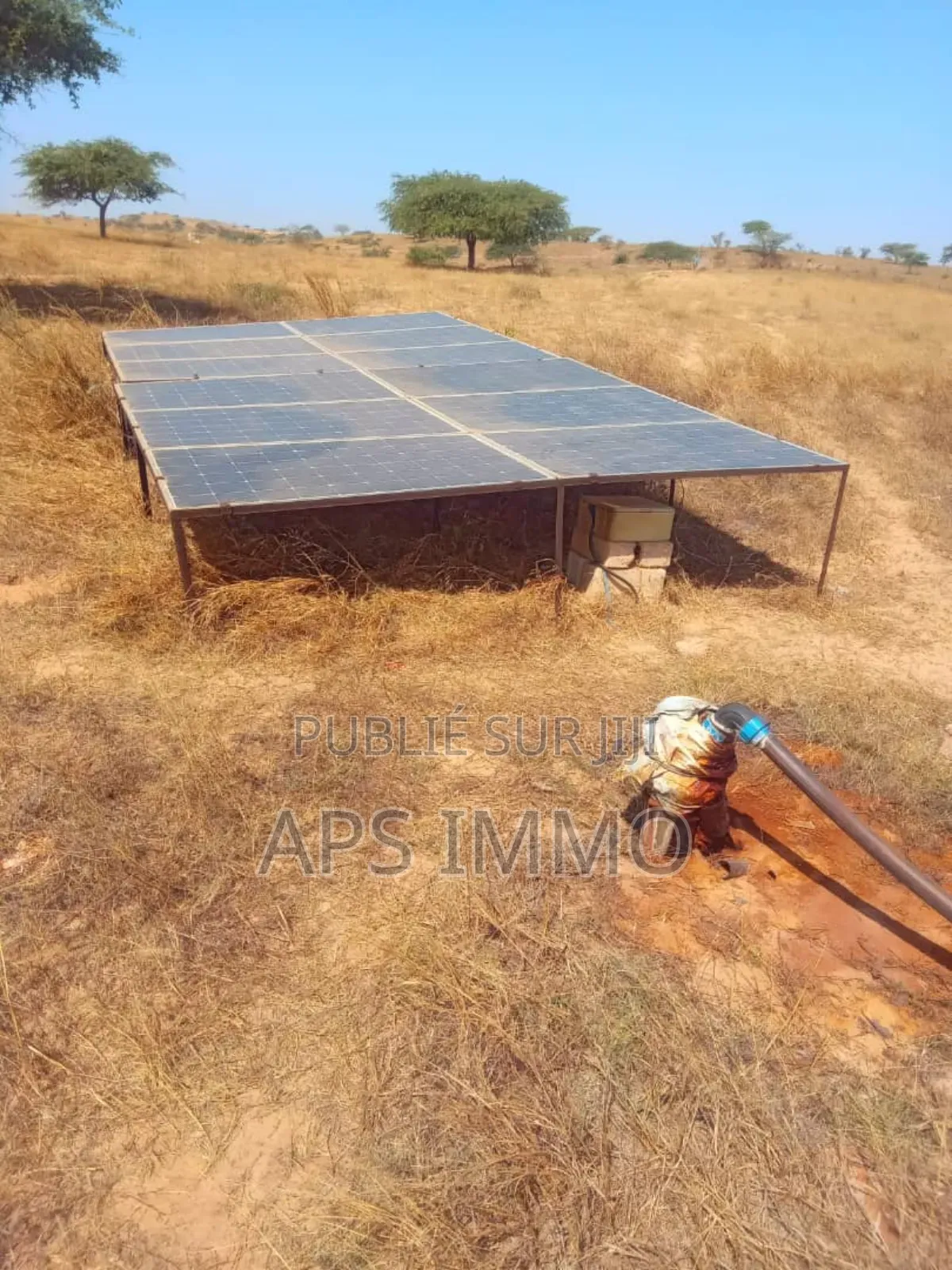 Champs 24 Hectares À Dioggo