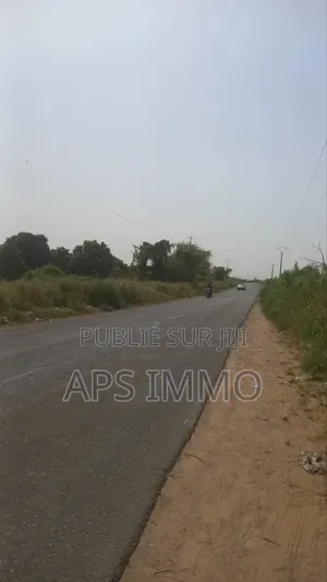 Champs 24 Hectares À Dioggo