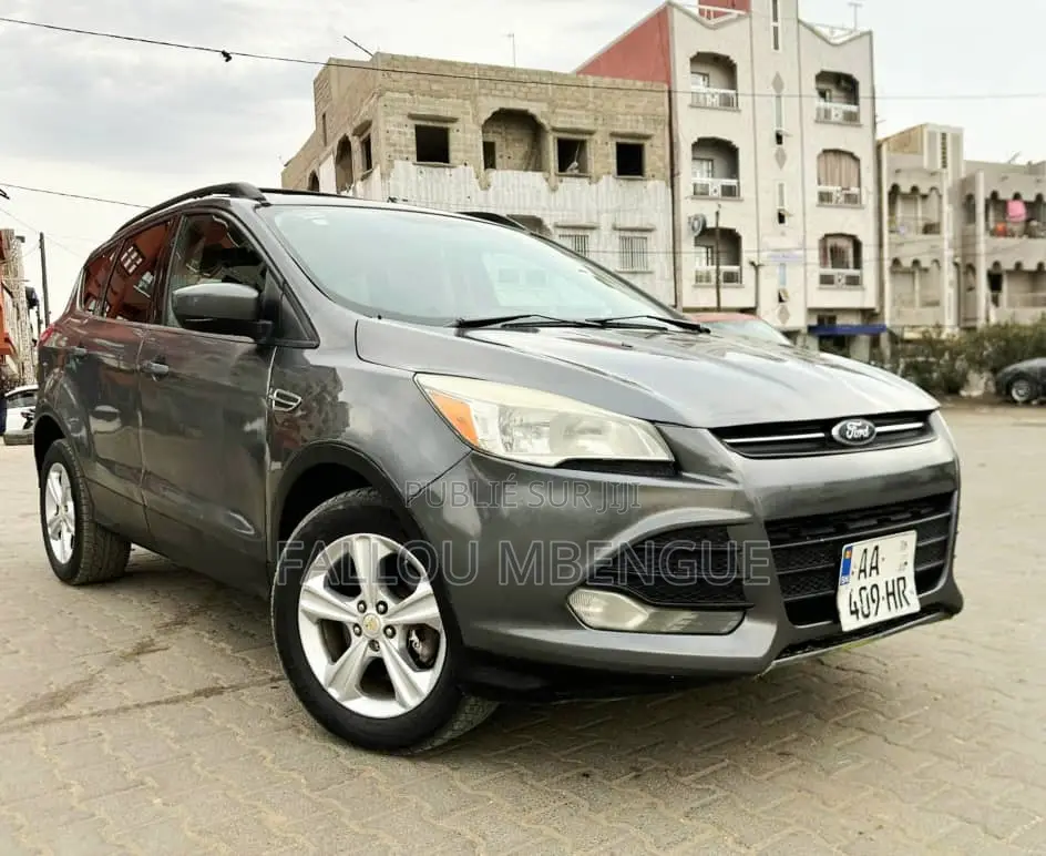 Ford Escape 2013 Gris