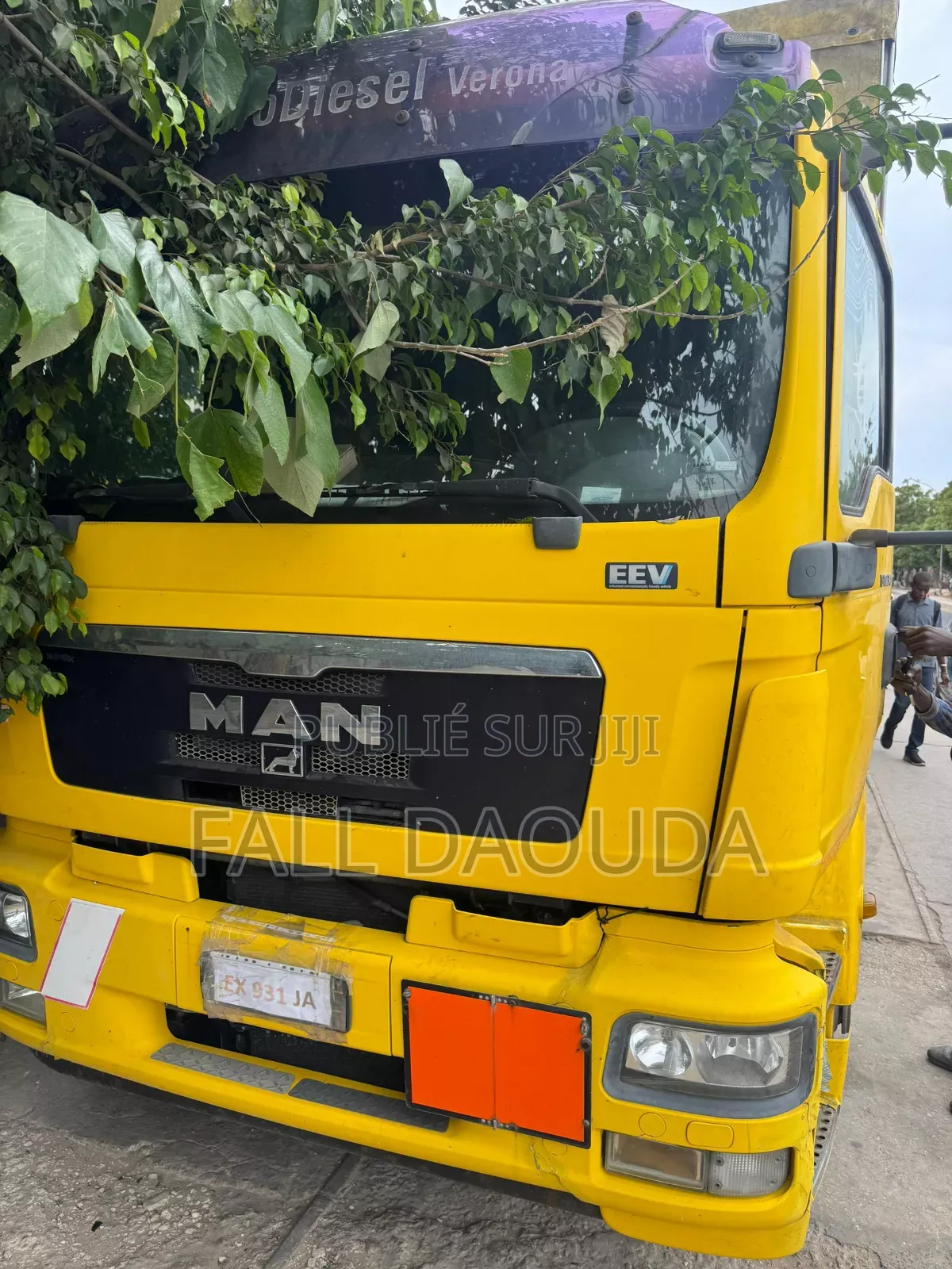 Camion Man TGM Automatique Diesel Venant Déjà Dédouaner