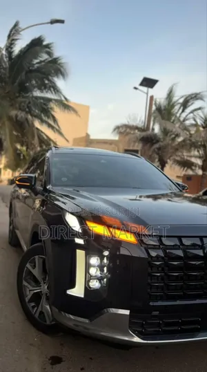 Hyundai Palissade 2019 Noir