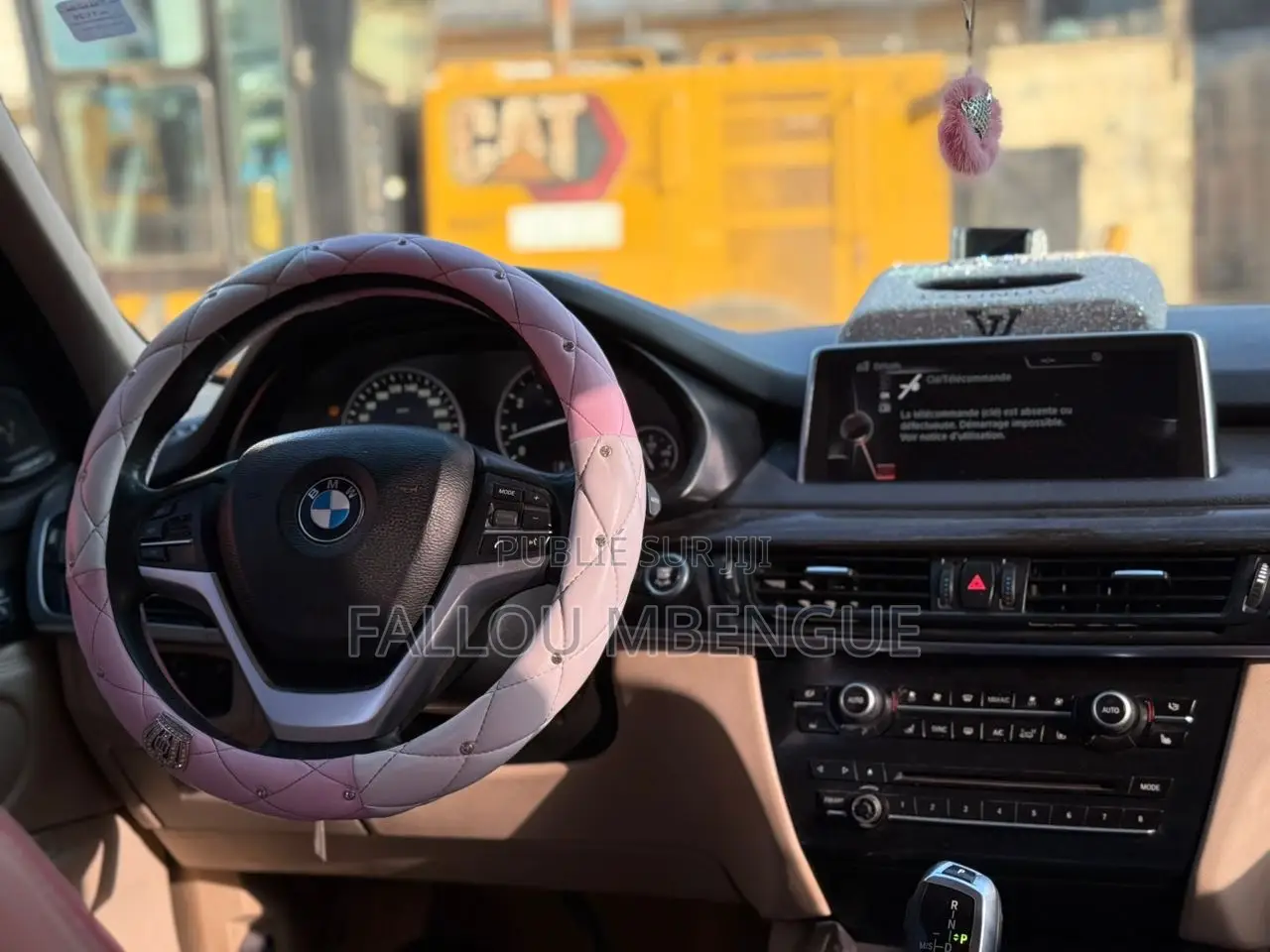 BMW X5 2014 Rose