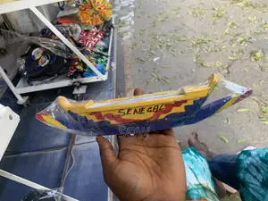 Pirogue Joue Ou Déco