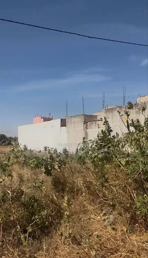 Diamniadio Terrain À Vendre