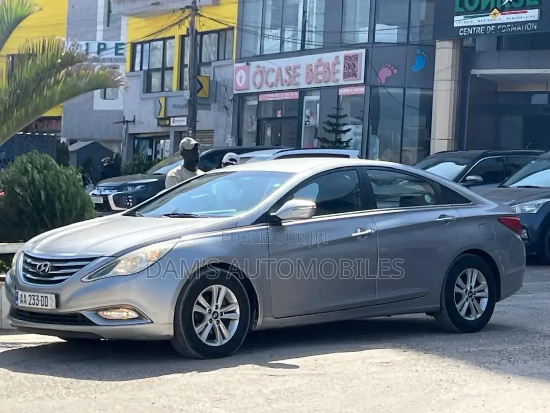 Hyundai Sonata 2012 Gris