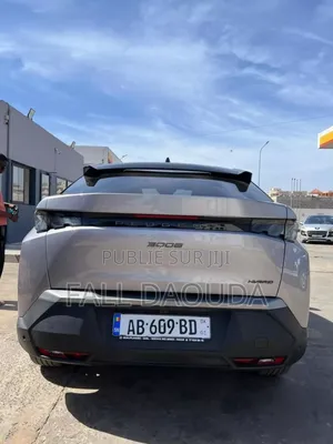 Peugeot 3008 2024 Gris