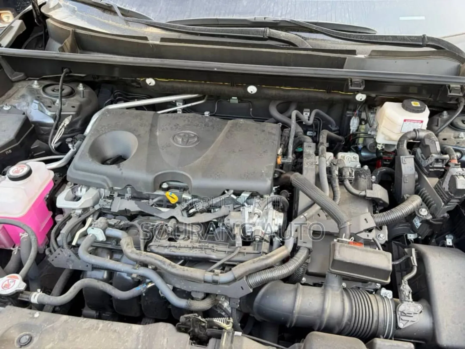 Toyota RAV4 XLE Premium FWD 2023 Black