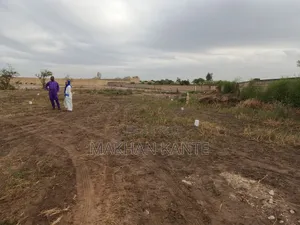 Terrain À Vendre Lac Rose Précisément Deni Biram Ndao Nord