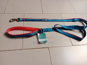 Laisses Pour Chien