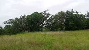 Terrain Agricole À Vendre