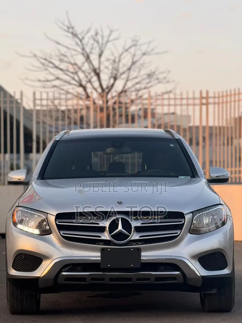 Mercedes-Benz GLC-Class 2018 Gris